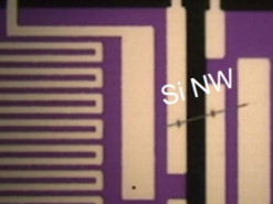 Учёные нашли способ на 150% улучшить охлаждение процессоров и других чипов