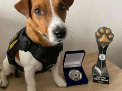 Пес Патрон отримав нову премію