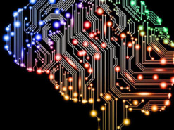 Google обучил нейросеть навигации по помещениям