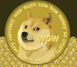 В Турции 12 подозреваемых в мошенничестве исчезли с 350 млн Dogecoin