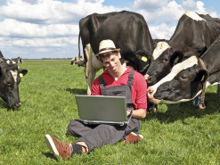 Провайдеры не спешат подключать оптический интернет в селах даже с государственной поддержкой