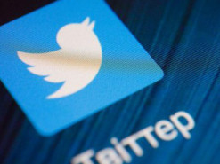 У Twitter заморозили платну функцію галочки для офіційних осіб через фейкові акаунти