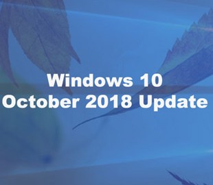 Доля Windows 10 October 2018 Update начала расти