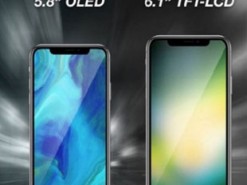 iPhone с 6,1-дюймовым ЖК-дисплеем сулят высокую популярность