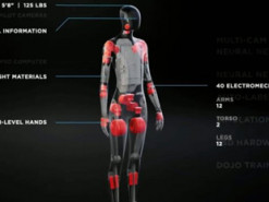 Tesla может наладить производство своих человекоподобных роботов Bot в Техасе