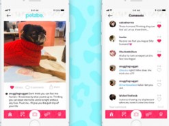 Появилась соцсеть для домашних животных