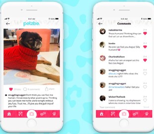 Появилась соцсеть для домашних животных
