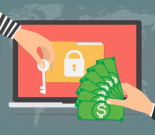 Киберполиция установила 76 активных преступных телеграм-сообществ