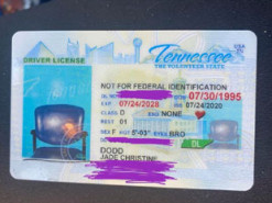 Девушка получила права с фотографией стула - ошибку высмеяли яркими фотожабами