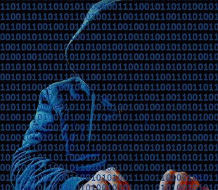 «Голки» – новий інструмент для колективної DDoS-атаки на ресурси рф