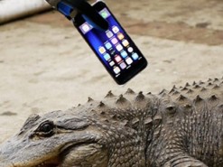 Китаец проверил оригинальность аккумулятора iPhone на зуб