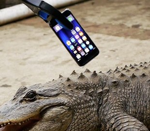 Китаец проверил оригинальность аккумулятора iPhone на зуб