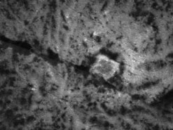 Искусственный интеллект обнаружил на Церере признаки внеземных цивилизаций