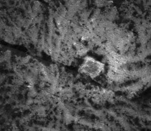 Искусственный интеллект обнаружил на Церере признаки внеземных цивилизаций