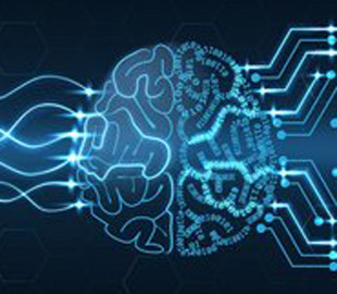 В университетах Украины будут создавать лаборатории по исследованию искусственного интеллекта