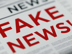 Российская журналистка и блогер из Нидерландов распространяли фейки о сбитом на Донбассе Boeing