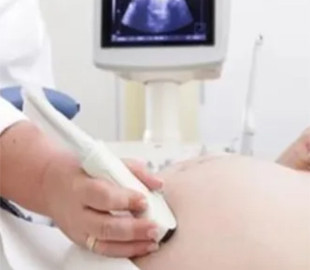 Ефросинина и Осадчая эмоционально отреагировали на петицию о запрете абортов в Украине