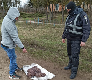 В Татарбунарах полиция обнаружила вора кабелей «Укртелекома»