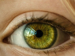 Йога для глаз: как расслабиться после рабочего дня за компьютером