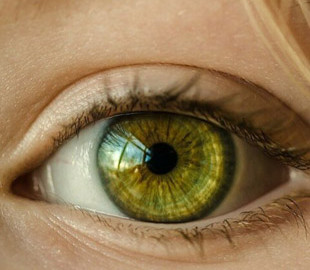 Йога для глаз: как расслабиться после рабочего дня за компьютером