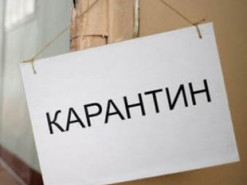 "Беги, Галя, беги": завершение жесткого карантина в Украине высмеяли меткими фотожабами