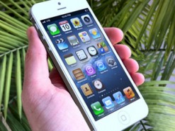 Собака отобрала телефон у хозяйки, зависимой от гаджетов