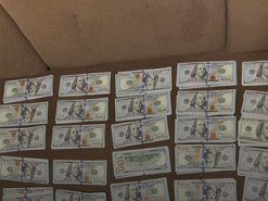 Волинські митники не дозволили водію на «Теслі» вивезти до Польщі майже 40 тисяч доларів