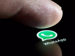 В WhatsApp рассказали, станет ли мессенджер платным, если не принять новые правила