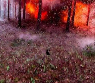 "Портал в ад": опубликованы кадры с камеры российского оккупанта