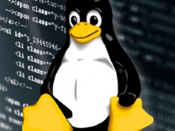 Zerodium заплатит $45 тыс. за уязвимости нулевого дня в Linux