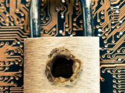 Баг Prozorro: цену конкурента можно подсмотреть еще до аукциона