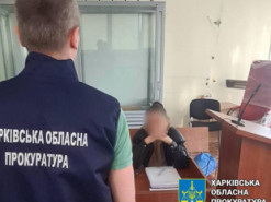 За ведення проросійського телеграм-каналу українка постане перед судом