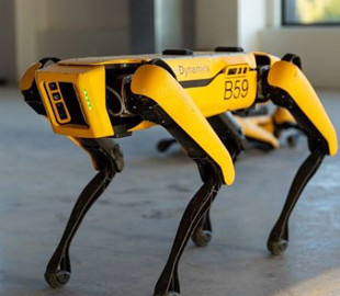 Американец из мести научил робота-собаку Boston Dynamics писать пивом