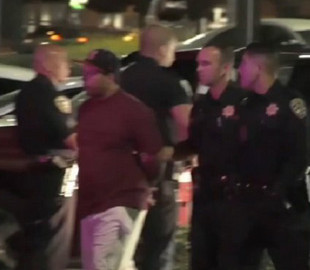 Бортовые камеры Tesla помогли задержать опасного преступника в Калифорнии