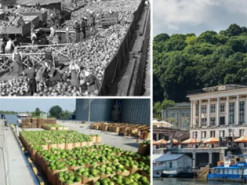 В сети показали, как происходила разгрузка арбузов с баржи в Киеве в 1958 году. Архивное фото