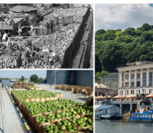 В сети показали, как происходила разгрузка арбузов с баржи в Киеве в 1958 году. Архивное фото