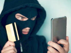 Женщина хотела купить 300 ёлок и отдала мошенникам 7,5 тысяч гривен