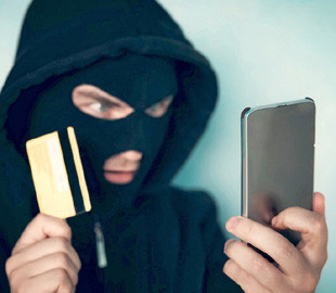 Женщина хотела купить 300 ёлок и отдала мошенникам 7,5 тысяч гривен