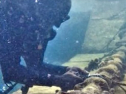 Россия направила агентов в Ирландию для повреждения трансатлантических кабелей – СМИ