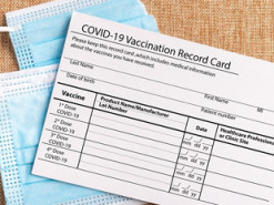 Большие штрафы и лишение свободы: как наказывают в других странах за подделку COVID-сертификата