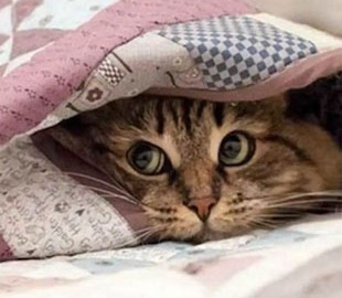 Підготовка до зими: як звичайний фен допоможе не замерзнути