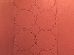 Учительница случайно создала уникальную оптическую иллюзию