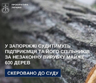 Правоохоронці викрили "чорних" лісорубів, які продавали деревину через інтернет