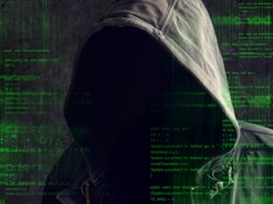 «Баг хантеры» зарабатывают в разы больше по сравнению с программистами