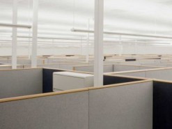 Руководство Google: искусственный интеллект захватывает рабочие места быстрее, чем ожидалось