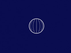 Компания Stellar сожгла 55 миллиардов собственных токенов