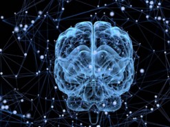 Google запретила выход игры для iOS с элементами настоящего ИИ