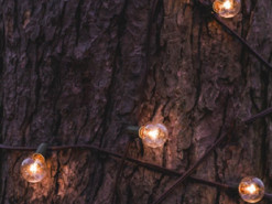 Гибкие и сверхпроводимые: ученые создали батареи из дерева