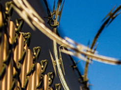 IT-компания SoftServe выплатила 380 миллионов за покупку исправительной колонии во Львове