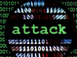 Участник Lizard Squad и PoodleCorp признал себя виновным в DDoS-атаках